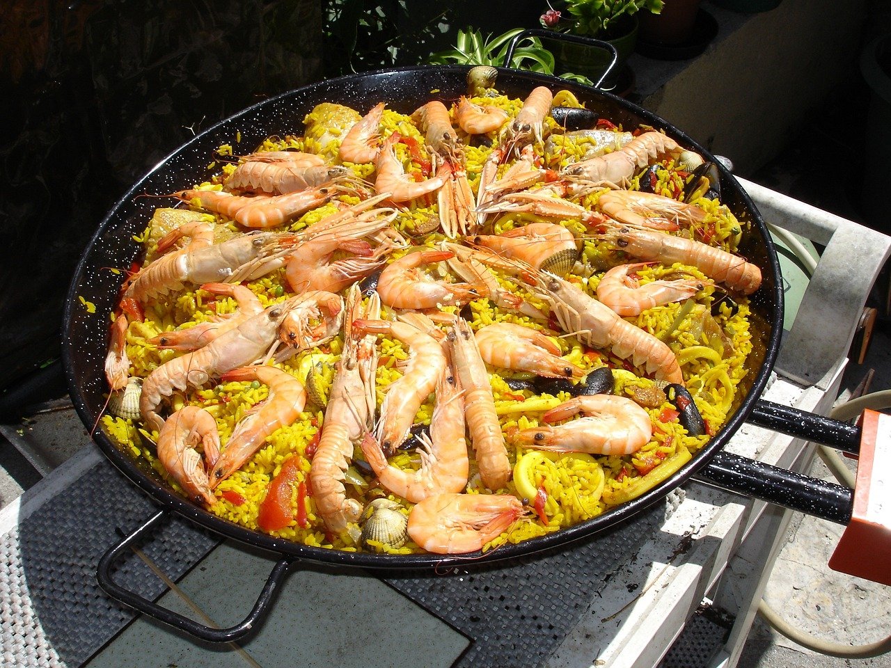 La Paella y sus Maridajes: Un Viaje Gastronómico por la Cocina Española